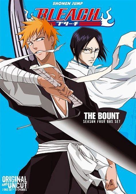 bleach season 4.